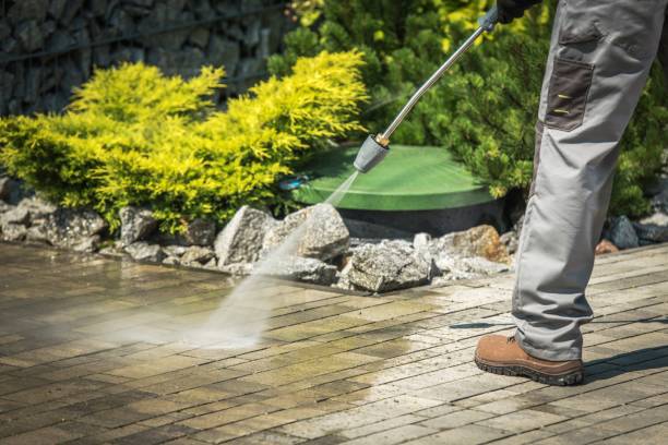 Best Parking Lot Cleaning in Rockfish, NC