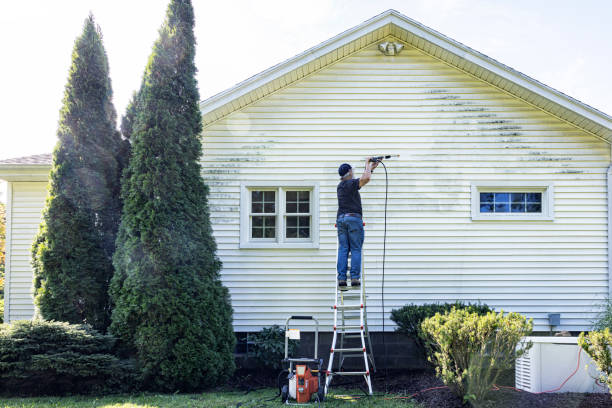 Best Gutter Cleaning and Brightening in Rockfish, NC